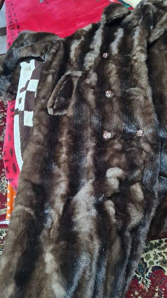 coat furry   بالطو