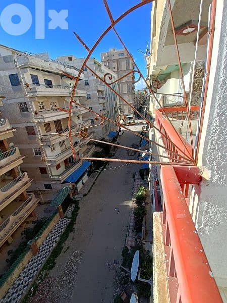 امتلك شقة في الإسكندرية شاطئ النخيل قريبه من البحر موقع سكني استثماري 9