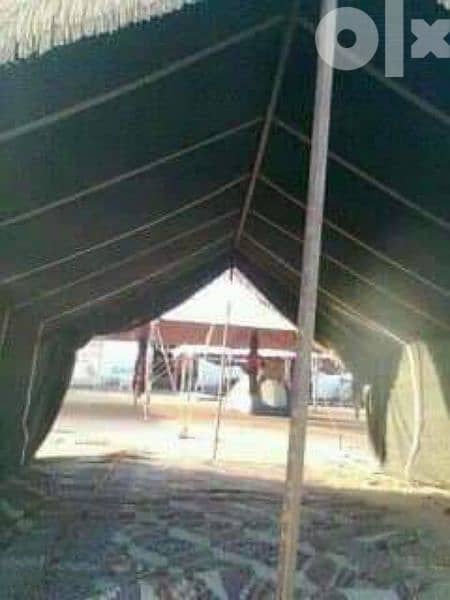 خيمة عربى 5