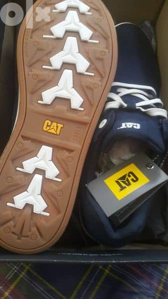 Caterpillar shoes No. P721069 0