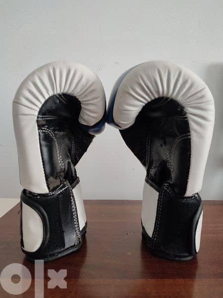 HUIJUN Leather Heavy boxing punching bag + Liveup aports boxing glove 7