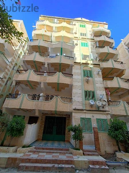 امتلك شقة في الإسكندرية شاطئ النخيل اكتوبر موقع سكني استثماري 2
