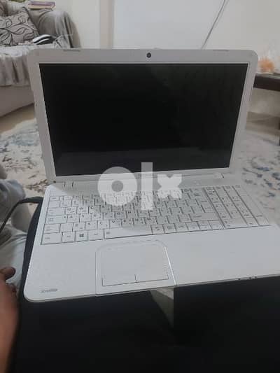 لاب توب توشيبا وارد الخليج