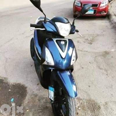 sym-195987534