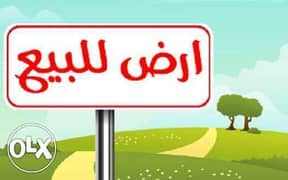 قطعه ارض مرخصه للبيع في كفر سعد في موقع مميز وبسعر مميز ( فرصه نادره ) 0
