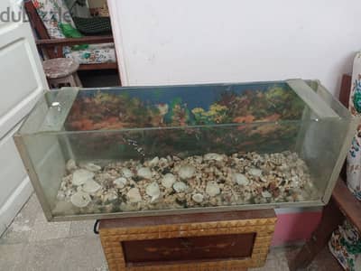 حوض سمك