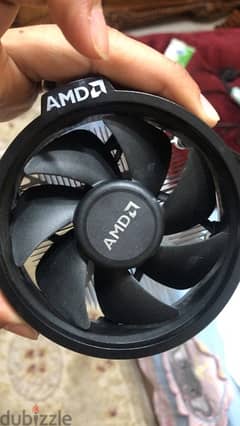 AMD