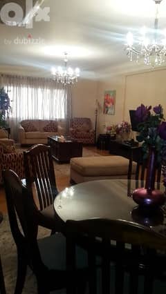 flat furnished for rent  by river Nile for families only