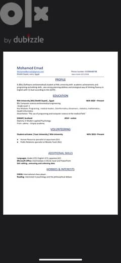 Professional CV creation  - عمل سيرة ذاتية احترافية 0