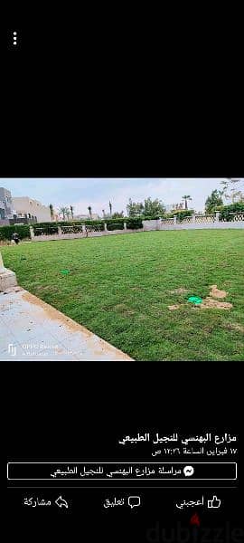 نجيل زراعي طبيعي بسبيلم10 لتنسيق الحدائق والفيلات والملاعب