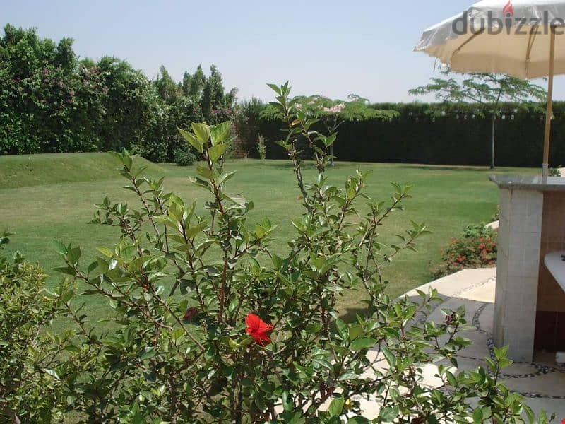 villa for rent in Sheikh Zayed 1