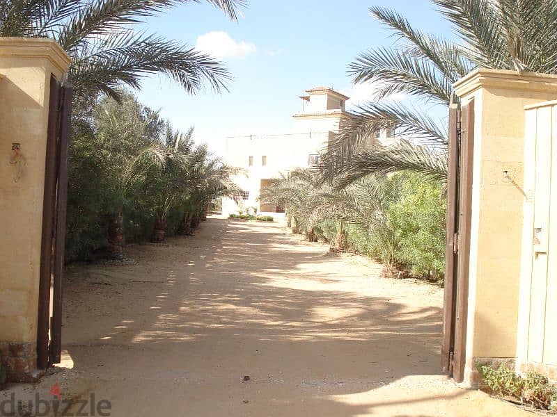 villa for rent in Sheikh Zayed 5
