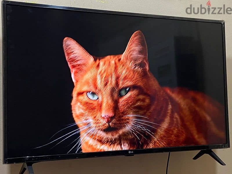 ل جىSMART Built-in satellit4k UHD49) بمشتملاتها بلكارتونه كلجديده 4