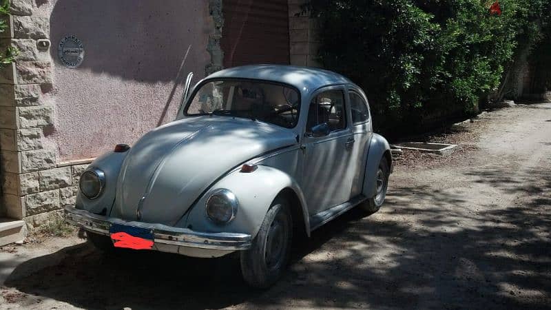 فولكس بيتلز VW beetles