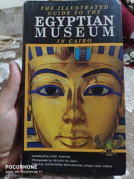 The Illustrated Guide to the Egyptian Museum in Cairo 1