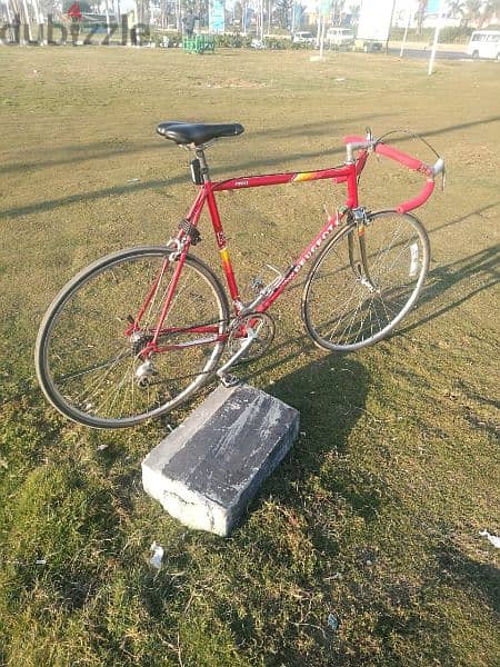 vintage Peugeot rode bike 4