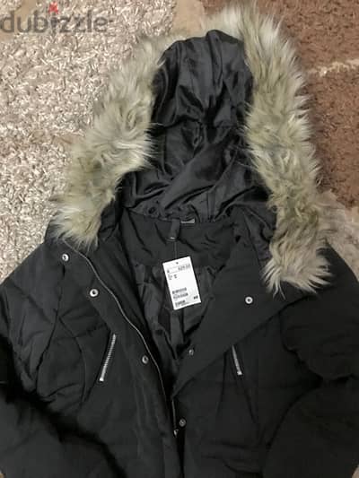 New Jacket