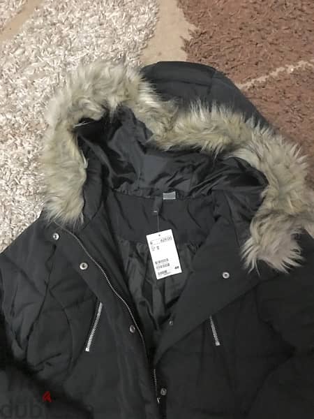 New Jacket 2