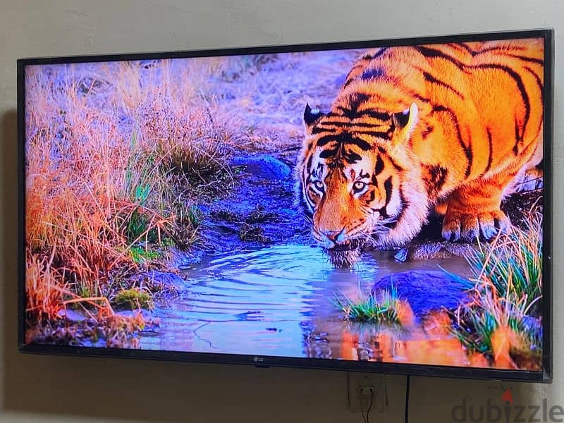 بسعر نهائي والتجار يمتنعون (ل جى49"اسمارت/رسيفر داخلى 4k-UHDريموت ماوس 11