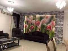 fully furnished duplex for rent 0