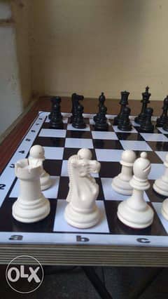 شطرنج دولي 0