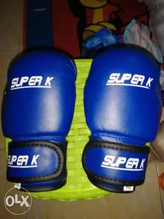 kick boxing gloves