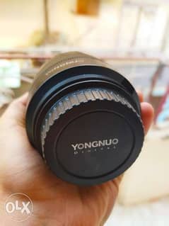Lens YONGNUO 50mm F 1.4 0