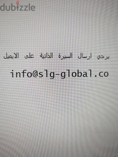 شركة slg-global للتسويق الالكترونى والتصدير 0