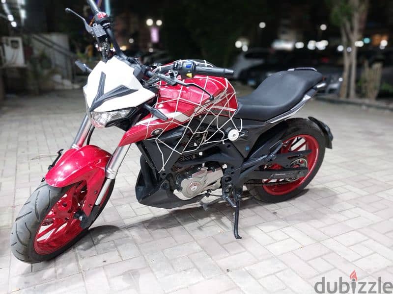 vegorey-300-197308733
