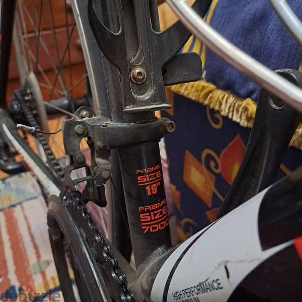 viva bicycle 1