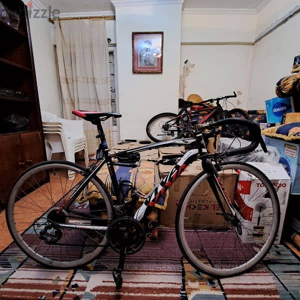 viva bicycle 2
