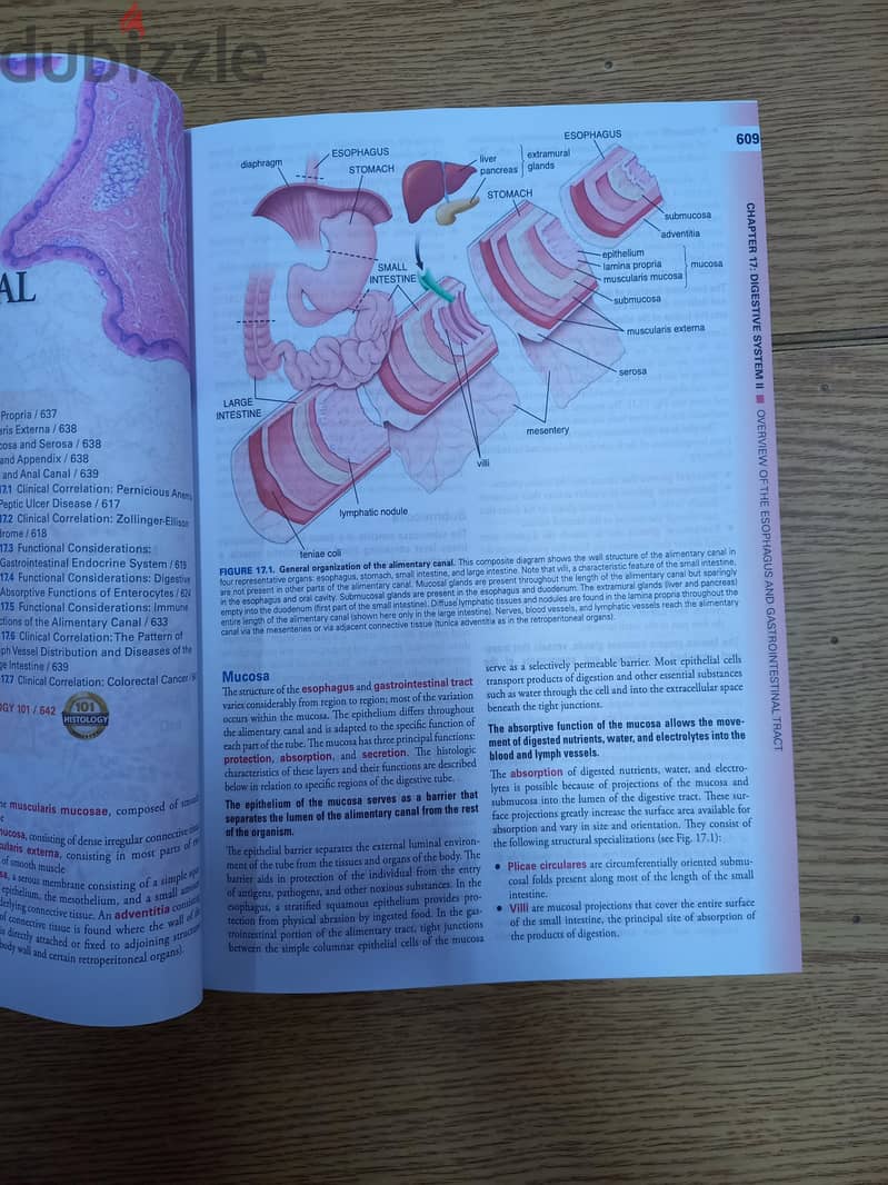 Histology a textbook and atlas (cojciech pawlina) 1