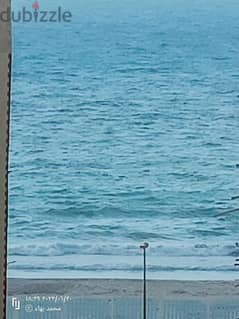 امتلك شقه في شاطئ النخيل اكتوبر الإسكندرية خطوات للبحر موقع ممتاز 0