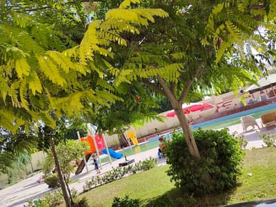 استوديو كبير مكبف بالكامل  أمام مارينا7 فيو بسين الاطفال سيزون كامل