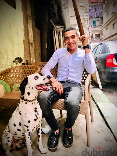 بنجر كلب لطيف وتربيه بيتي كلاب 197966190 