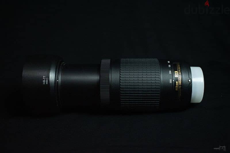 Nikon 70-300mm 3