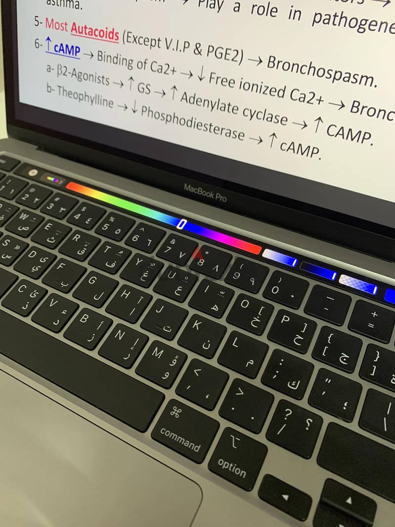 Macbook Pro M1 Touch Bar 13.3 inch 2