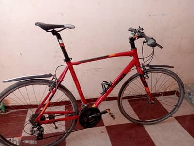 trinex Free2.0 bike