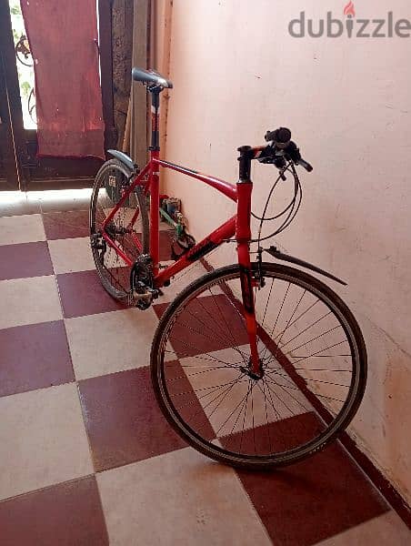 trinex Free2.0 bike 4