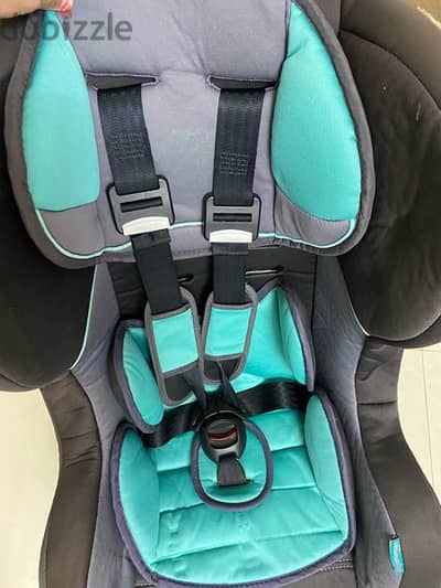 Premaman Car Seat