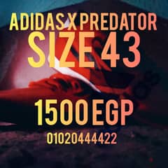 Adidas predator x size 42 2/3