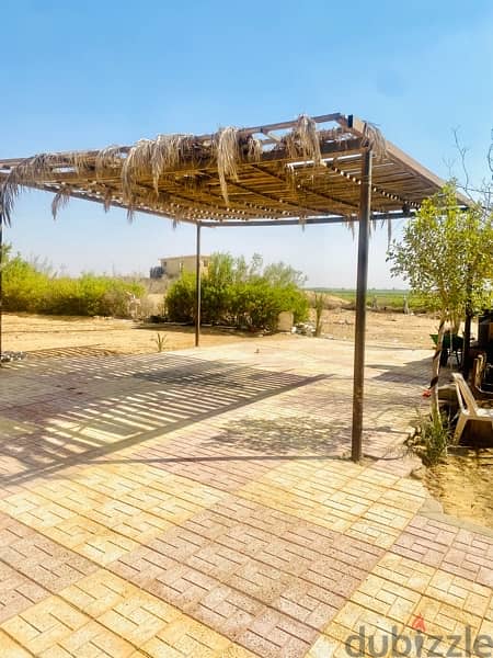 Stand alone villa for sale-  4000mڤيلا على فدان للبيع في الريف الاوربي 7