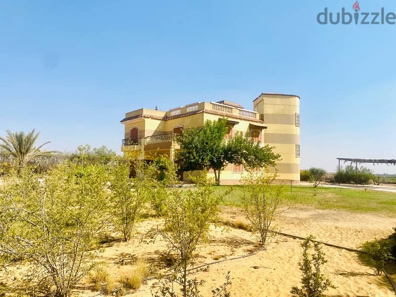 Stand alone villa for sale-  4000mڤيلا على فدان للبيع في الريف الاوربي 1