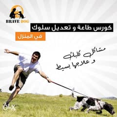 تدريب كلاب مع كابتن احمد مدرب في كليه الشرطه 0