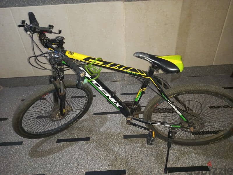 mountain phoenix bike 26 0