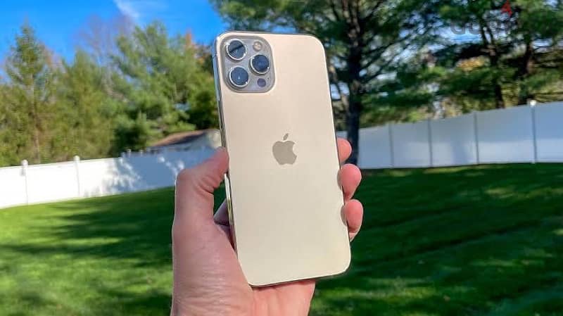 iPhone 12 Pro Max 256 Gold with box and charger 0