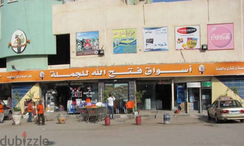 فيلا شاطئ النخيل العجمي الاسكندريه