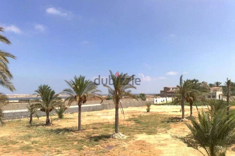 ارض فضاء  ، سكني ، القاسمية ، بحري طريق الكافوري - برج العرب الجديدة 4