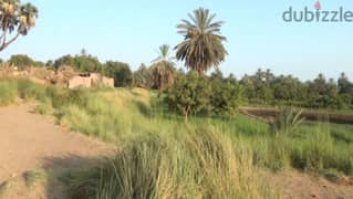 بيع ارض فى اسوان مساحه ٢٨الف مترمربع تطل على النيل وعلى الشارع الرئيسي