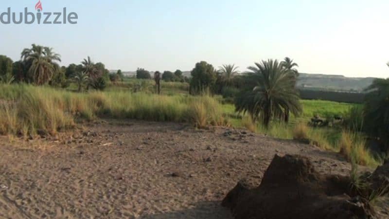 بيع ارض فى اسوان مساحه ٢٨الف مترمربع تطل على النيل وعلى الشارع الرئيسي 3